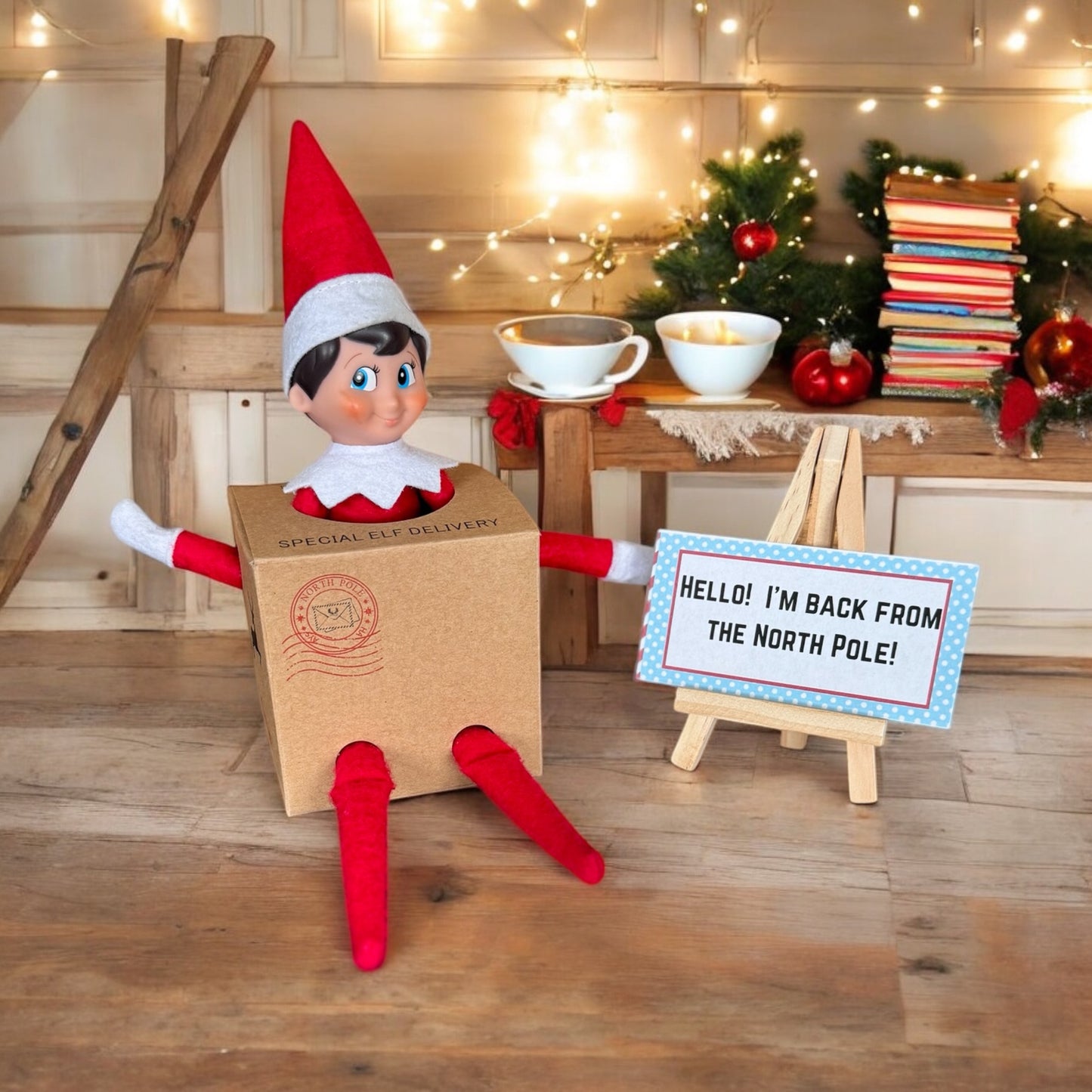 Christmas Elf Helper Kit